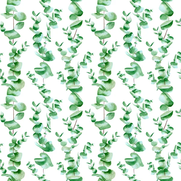 Płynny Wzorzec Eukaliptusa Akwarelowe Tło Zielonymi Liśćmi Roślin Gałęziami Owijania — Zdjęcie stockowe