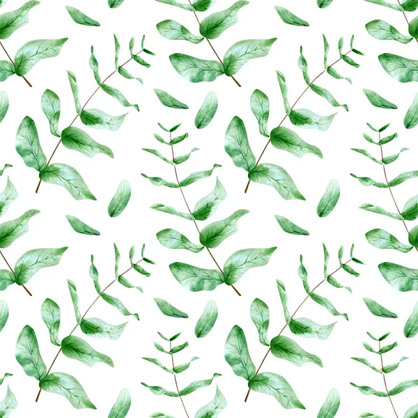 Seamless eucalyptus leaves pattern. Watercolor floral background with green spring plant leaf and branches for textile, wallpaper, kitchen decor