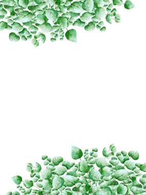 Okaliptüs yapraklı suluboya davetiye şablonu. Düğün için yeşil bitkilerle botanik illüstrasyonu, gelin partisi, doğum günü, yıldönümü, tarihi kaydet