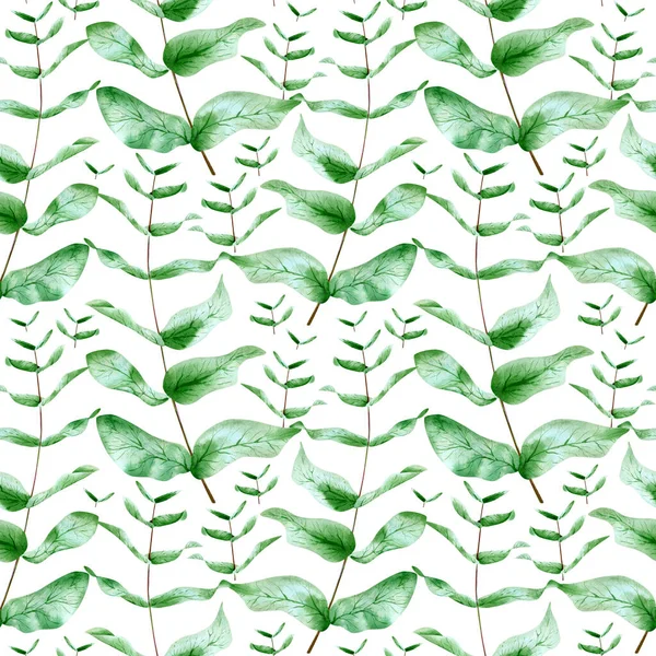 Płynny Eukaliptus Pozostawia Wzór Akwarelowe Tło Botaniczną Ilustracją Zielonego Liścia — Zdjęcie stockowe