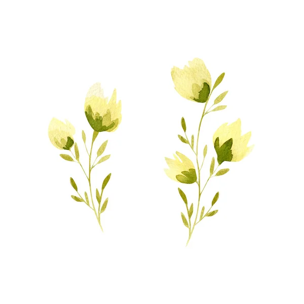 Watercolor yellow flowers collection. Cute abstract flower with green leaves and branch for summer decor, souvenirs