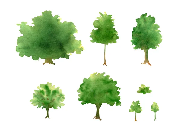 Watercolor Trees Collection Abstract Illustration Oak Maple Trees Bush Silhouette — Foto de Stock