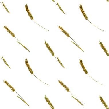 Seamless wheat spikelet pattern. Watercolor herbal background with wheat spica, oats spikelet illustration for textile, wallpapers, bakery decor