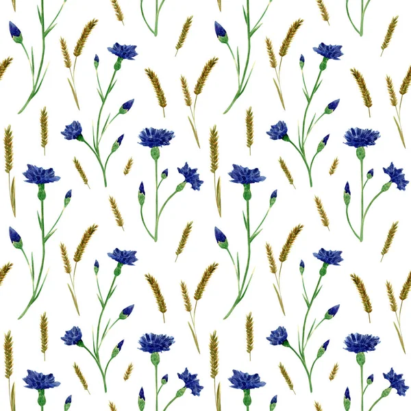 Seamless Cornflower Wheat Spikelet Pattern Watercolor Floral Background Blue Knapweed — 图库照片