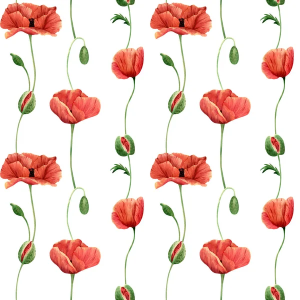 Seamless Poppies Flowers Pattern Watercolor Floral Background Botanical Poppy Wildflower — Stockfoto
