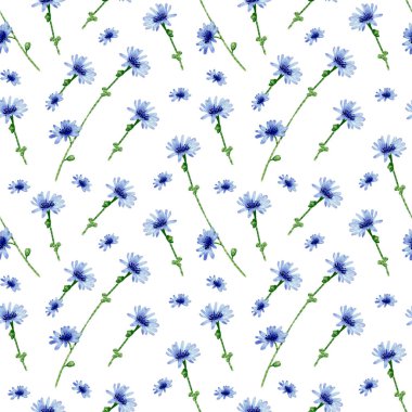 Seamless chicory flowers pattern. Watercolor floral background with blue wildflowers, stem for textile, wallpapers