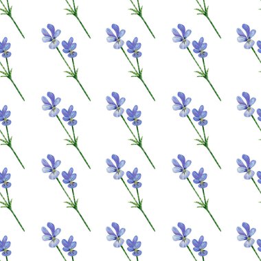 Seamless pansies wildflowers pattern. Watercolor floral background with blue and violet flowers, stem, leaves for textile, wallpapers