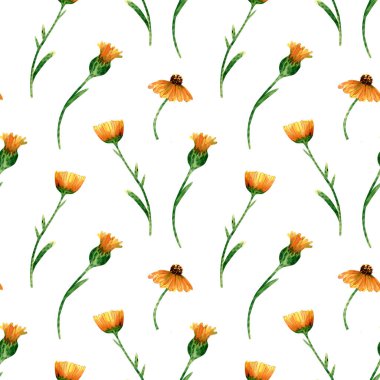 Seamless calendula flowers pattern. Watercolor background with yellow and orange wildflowers, green leaves on stem. Ornament with plants for textile, wallpapers