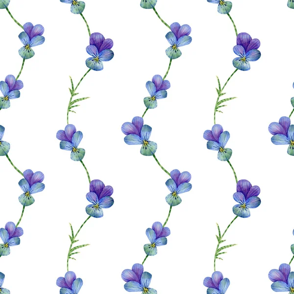 Seamless Pansies Flowers Pattern Watercolor Background Blue Violet Wildflowers Stem — Stockfoto