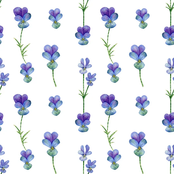 Безшовний Візерунок Квітами Акварельний Квітковий Фон Синьо Фіолетовими Дикими Квітами — стокове фото
