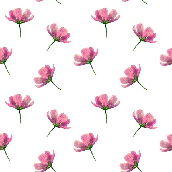 Seamless Cosmos Wildflowers Pattern Watercolor Floral Background Pink Violet Flowers — Φωτογραφία Αρχείου