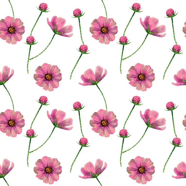 Seamless Cosmos Flowers Pattern Watercolor Floral Background Pink Violet Wildflowers — Foto Stock