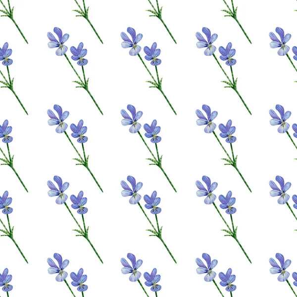 Seamless Pansies Wildflowers Pattern Watercolor Floral Background Blue Violet Flowers — ストック写真