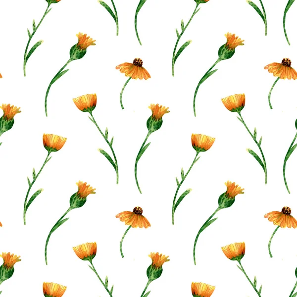 Seamless Calendula Flowers Pattern Watercolor Background Yellow Orange Wildflowers Green — Stock fotografie