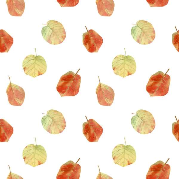 没有缝隙的桦树叶子秋天的花纹 纺织品 装饰用红黄相间秋叶的水彩背景 — 图库照片