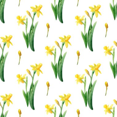 Kusursuz narsist çiçek deseni. Sarı nergis çiçekli suluboya arkaplan ve tekstil için yeşil yapraklar, duvar kağıtları