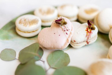 White macaroons are on a plate. Delicious light cookies on a plate on a light background. Bakery. Background for Valentine's Day