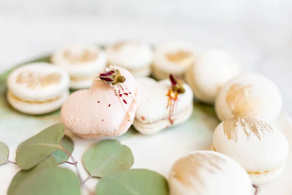 White Macaroons Plate Delicious Light Cookies Plate Light Background Bakery — Stockfoto