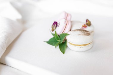 Hafif arka planda yeşil yapraklı güzel, lezzetli hamur işleri. Beyaz bir tuvalde beyaz ve pembe badem kurabiyeleri. Sevgililer Günü arkaplanı