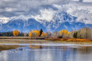 Yellowstone Ulusal Parkı, Idaho, Wyoming, Bison, Gayzerler, Dağlar, Grand Tetons