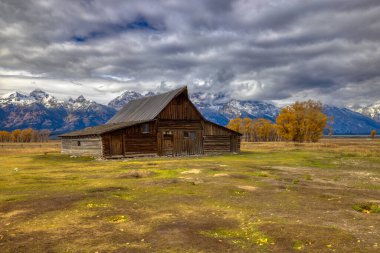 Yellowstone Ulusal Parkı, Idaho, Wyoming, Bison, Gayzerler, Dağlar, Grand Tetons
