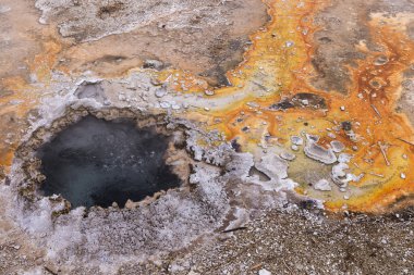 Yellowstone Ulusal Parkı, Idaho, Wyoming, Bison, Gayzerler, Dağlar, Grand Tetons