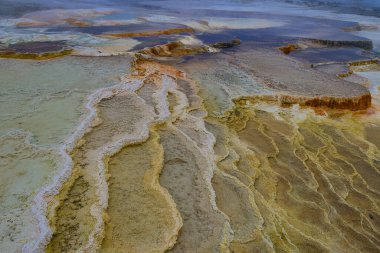 Yellowstone Ulusal Parkı, Idaho, Wyoming, Bison, Gayzerler, Dağlar, Grand Tetons