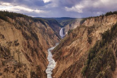 Yellowstone Ulusal Parkı, Idaho, Wyoming, Bison, Gayzerler, Dağlar, Grand Tetons