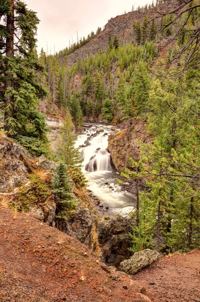 Colores Otoño Parque Nacional Yellowstone Idaho Wyoming Bisonte Géiseres Montañas — Foto de Stock