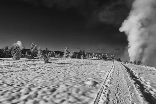 Yellowstone Nationalpark Geysire Tierwelt Winter Schnee Vulkan Bison Kojote Adler — Stockfoto