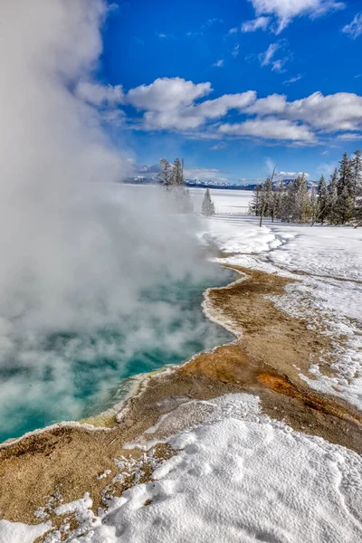 Nationaal Park Yellowstone Geisers Wilde Dieren Winter Sneeuw Vulkaan Bison — Stockfoto