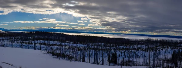 Yellowstone Nationalpark Geysire Tierwelt Winter Schnee Vulkan Bison Kojote Adler — Stockfoto