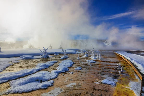 Parque Nacional Yellowstone Géiseres Vida Silvestre Invierno Nieve Volcán Bisonte — Foto de Stock