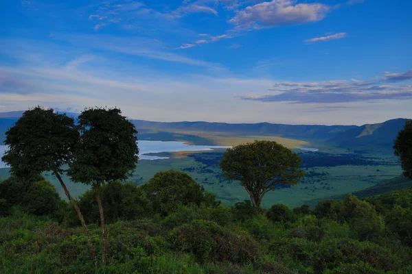 Serengeti Ngorongoro Ndutu Wildlife Safari Met Leeuwen Zebra Wildebeest Hyena — Stockfoto