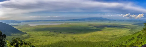 Serengeti Ngorongoro Ndutu Wildlife Safari Com Leões Zebras Wildebeest Hyena — Fotografia de Stock