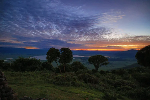 Serengeti Ngorongoro Ndutu Wildlife Safari Met Leeuwen Zebra Wildebeest Hyena — Stockfoto