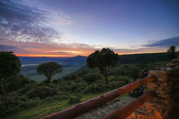 Serengeti Ngorongoro Ndutu Wildlife Safari Met Leeuwen Zebra Wildebeest Hyena — Stockfoto