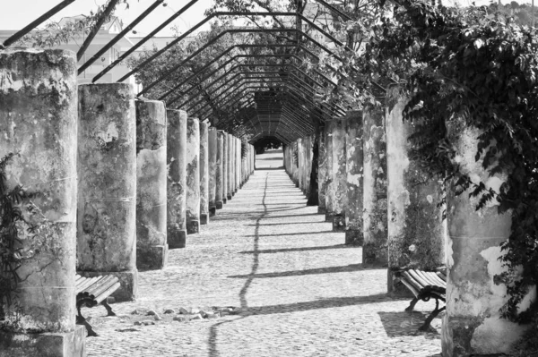 Antigua Columnata Spa Lousa Portugal — Foto de Stock