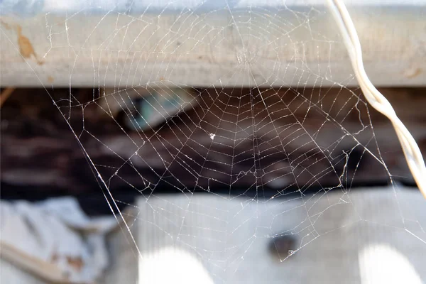 蜘蛛网挂在旧谷仓上 横向框架 — 图库照片