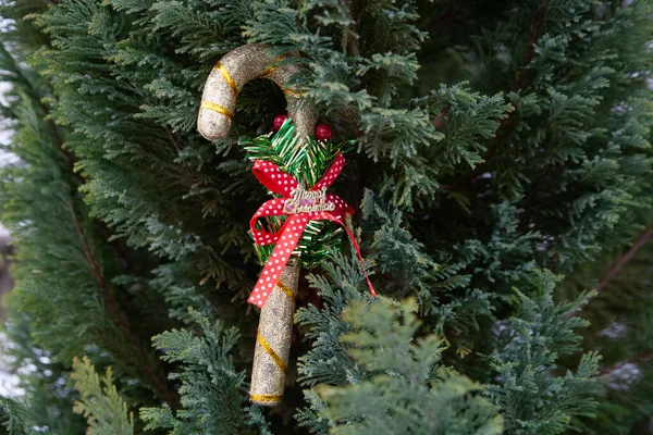 New Year Toy Hangs Tree Red Bow — стоковое фото