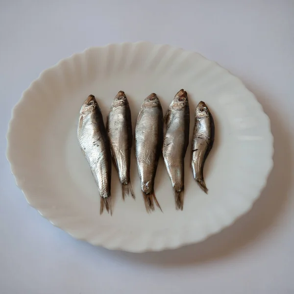 桌上的白盘里有一条鲱鱼 背景是白色的 — 图库照片