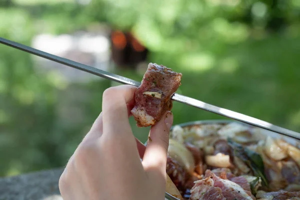 烤肉用的生肉放在烤肉架上 地方重点 — 图库照片