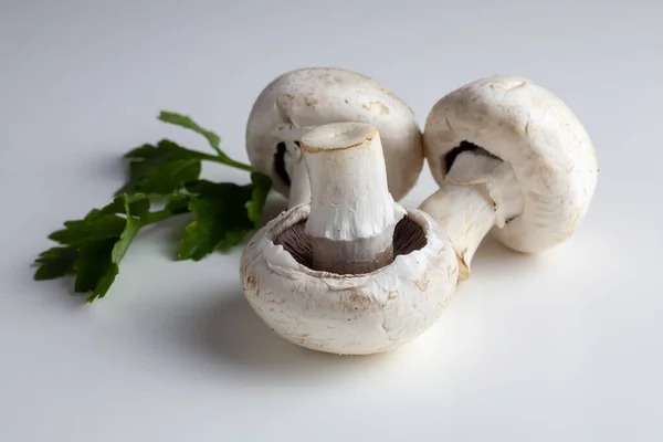 Three Mushrooms Table White Background — Stock Photo, Image