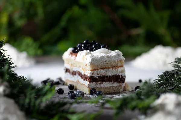 Masanın üzerinde yabanmersinli kek var. Yakınlarda ağaç dalları var. yerel odak.