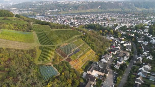 Imágenes aéreas de drones de plantas vitivinícolas en las entrañas de la aldea Famosa región vinícola alemana Moselle River Winningen — Vídeo de stock