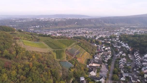 Drone zdjęcia lotnicze zakładów winiarskich w miejscowości guels Słynny niemiecki region winiarski Moselle Rzeka Winningen — Wideo stockowe