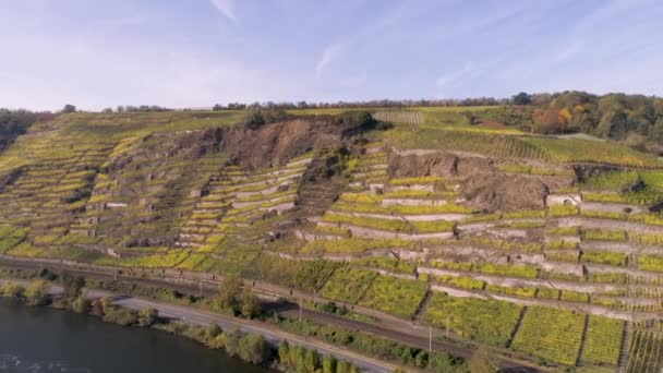 Bezpilotní letecké záběry nákladního vlaku v blízkosti vinic v obci winningen Slavný německý vinařský region Moselle River — Stock video