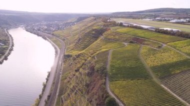 Moselle Nehri 'nin ünlü Alman Şarap Bölgesi' ndeki şarap fabrikalarının insansız hava aracı görüntüleri.