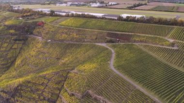 Moselle Nehri 'nin ünlü Alman Şarap Bölgesi' ndeki şarap fabrikalarının insansız hava aracı görüntüleri.