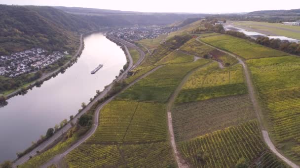 Drönare flygbilder av vingårdsplantor i byn winningen Berömda tyska vinregionen Mosel River — Stockvideo